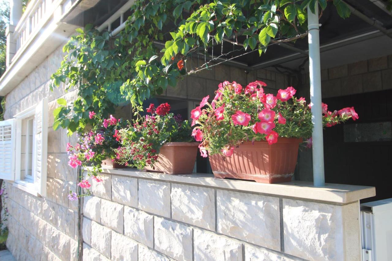 Apartment Ruzica Zrnovo Εξωτερικό φωτογραφία